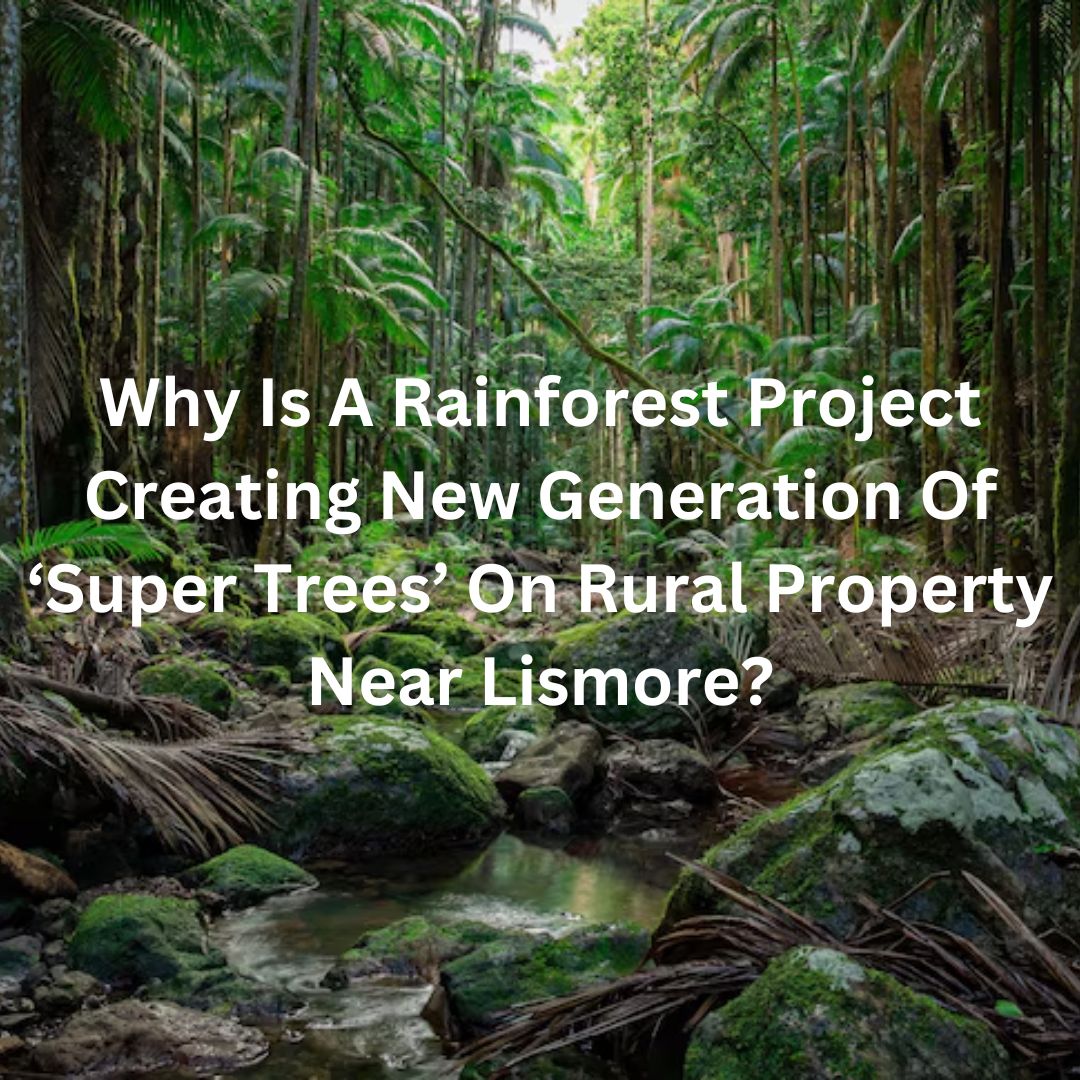 LiveTribe_'s tweet photo. A ground-breaking project to help rainforests meet the challenges of climate change is beginning in northern NSW. The Science Saving Rainforests project has collected more than 10,000 leaves from 60 plant species from Far North Queensland to southern NSW https://t.co/hMTupHjQba https://t.co/Fe89UD1eQC