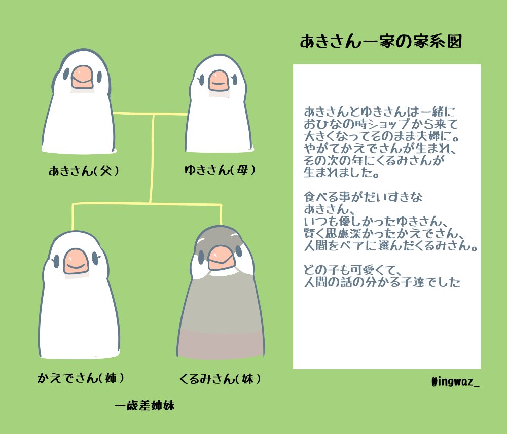 インスタの方で、まんがに出てくる文鳥さんの家系図や関係図が欲しいとのリクエストを頂き、少しずつ作ってみています。 過去に暮らした文鳥さんすべてを作ると30羽以上になってしまうので、流石に漫画に出てくる子だけにして、あと2枚ほどでまとめたいところ…?