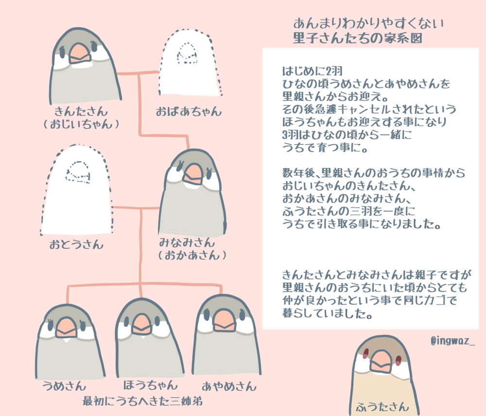 インスタの方で、まんがに出てくる文鳥さんの家系図や関係図が欲しいとのリクエストを頂き、少しずつ作ってみています。 過去に暮らした文鳥さんすべてを作ると30羽以上になってしまうので、流石に漫画に出てくる子だけにして、あと2枚ほどでまとめたいところ…?