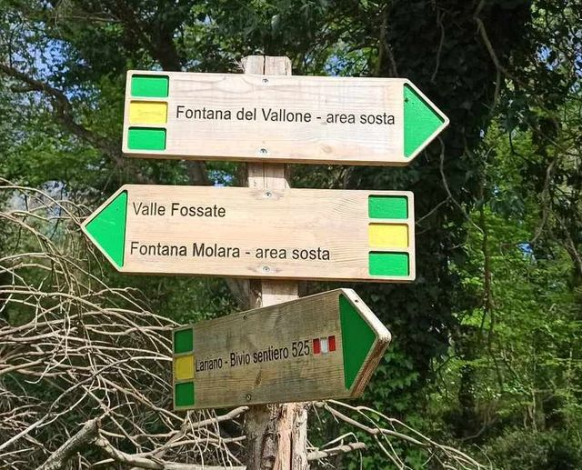 Alla scoperta del "Sentiero della biodiversità". Online è possibile trovare la descrizione e le tracce dell’itinerario, 👟📷molto interessante dal punto di vista naturalistico. Approfondisci su: shorturl.at/CH0fe