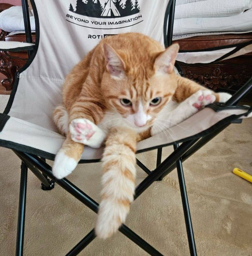 suuviinee's tweet photo. О моем существовании помнят единицы поэтому..поиск мью?
-неджи, она/её, 19(19дней до 20)
-скз, китайфд, мгчд/мги (кароче я из этих мультифд)
-щп🫶🏻
-ною на закрытке (но могу и тут)
-мью для общения а не для цифры!
-комфорт♡ убедитесь что я не кринж и только потом предлагайте мью! https://t.co/wFuHM9zWpB