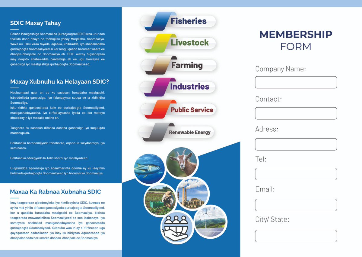 Somali Diaspora Investment Council (SDIC) tweet media