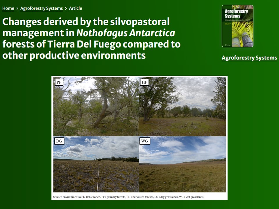 ym_rosas's tweet photo. Discover how silvopastoral management in Nothofagus Antarctica forests of Tierra Del Fuego balances productivity and ecology. Our latest study explores significant changes in forest structure, forage biomass, and biodiversity. 🌳🌱 #Patagonia 

https://t.co/gSeBSmHv20 https://t.co/nl8UysvBqI