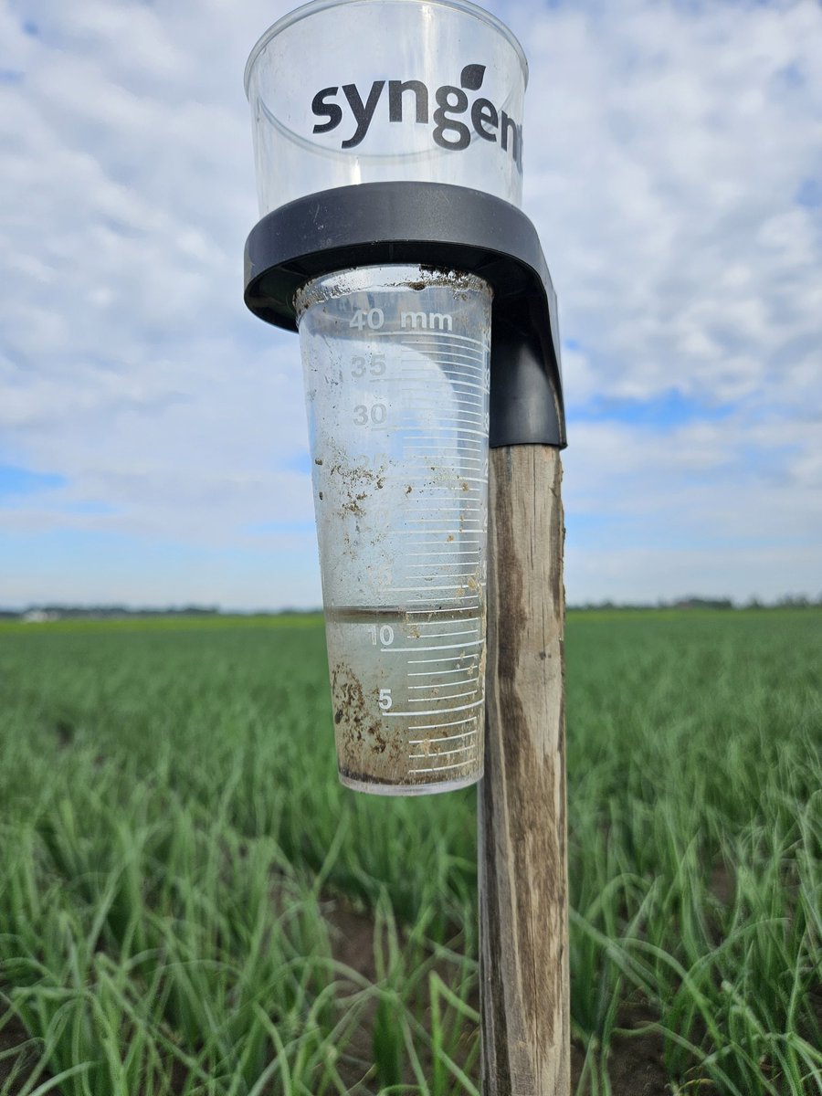 MvAndel's tweet photo. Meer mensen met een #fieldmate van smartfarm die zeer onnauwkeurig is mbt regenhoeveelheid meten?
Valt mij al tijden op en elke keer krijg ik terug gekoppeld dat het zeker niet aan de paal ligt... 12 mm in 't glas en 7mm volgens de fieldmate https://t.co/j13WpYL1Ro