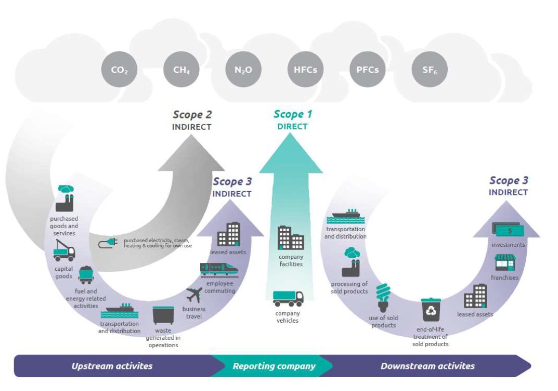 WoodSwallow tweet media