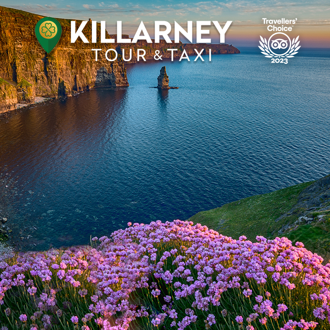 Jacklefet's tweet photo. In summer, Ireland comes alive with green fields, stunning cliffs, and breathtaking landscapes. Whether it's a relaxing countryside #tour or an exciting road trip, #KillarneyTour&amp;Taxi has you covered. Let us create your perfect itinerary. 

https://t.co/SQOllpa3lz 

#tour #ta ... https://t.co/6t1voDGIN1