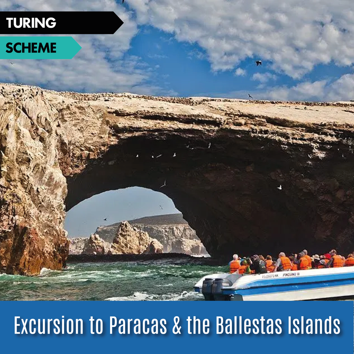 MatrixAcademyT's tweet photo. PERU🇵🇪
We're going on an excursion to Paracas & the Ballestas Islands today🎉
#TuringScheme #MatrixFarFromHome #EducationWithoutException https://t.co/UwBWd4jCm1