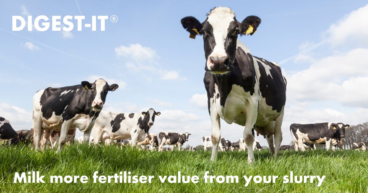 AgriiUK's tweet photo. Milk more fertiliser value from your slurry with DIGEST-IT ๐ฎ๐ฑ
A biological additive designed to increase nutrient recovery from slurry
For more information visit ๐ https://t.co/ePwP8wCdkz
#DIGESTIT #dairyfarms #slurry #dairy365 #Silage24 https://t.co/UyHkYEb1es