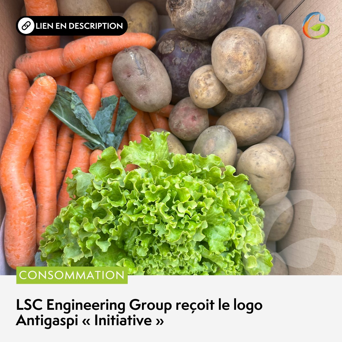 🥕 LSC Engineering Group, en partenariat avec la coopérative on.perfekt, est fier d’annoncer le lancement d’une initiative innovante visant à réduire le #gaspillagealimentaire. ➡️ loom.ly/0mxANqg