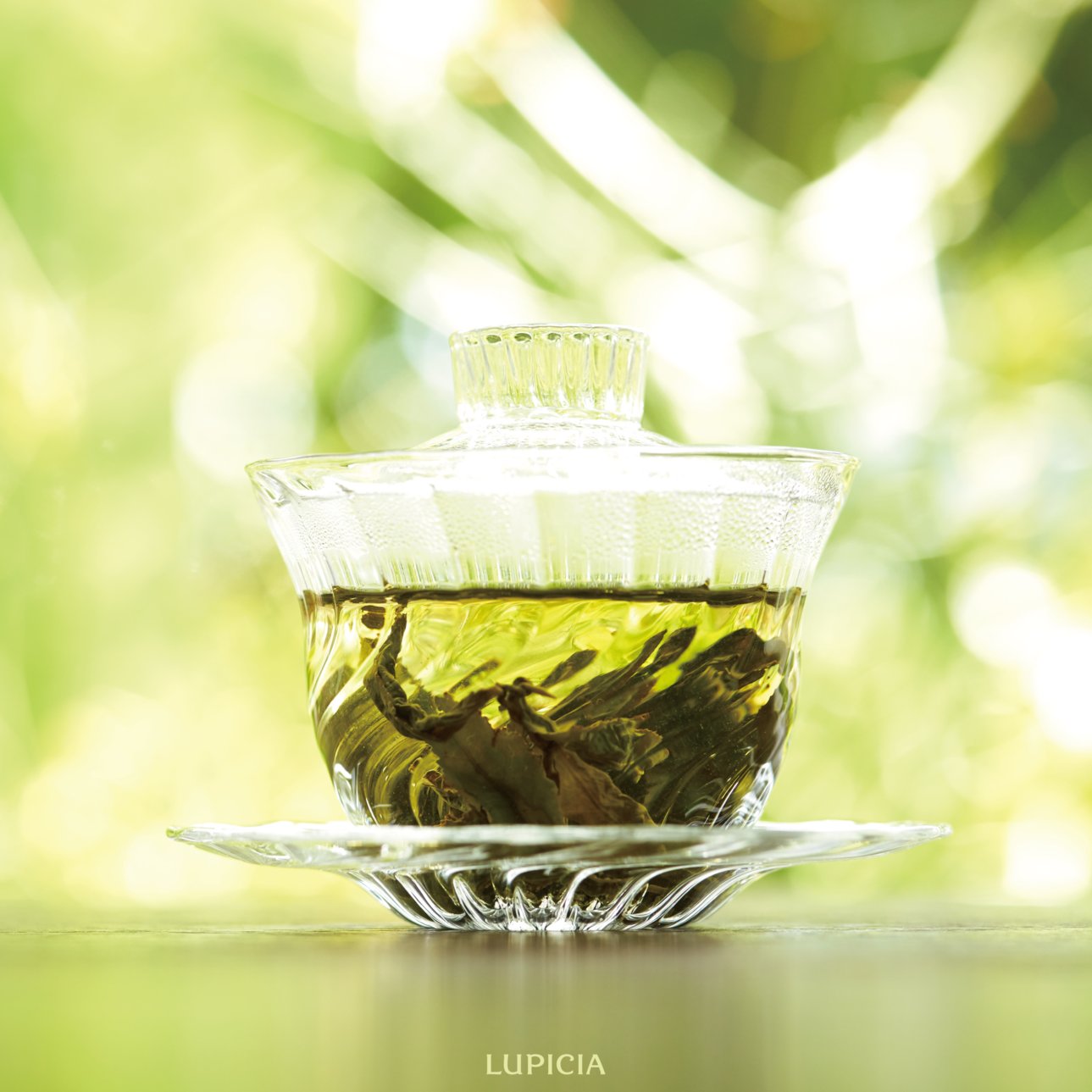 LUPICIA ルピシア on X: 