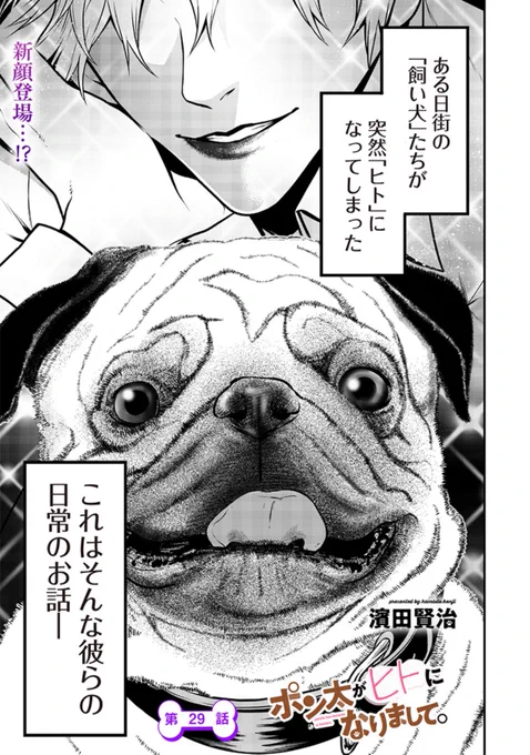 犬がヒトになら話<パグ編>