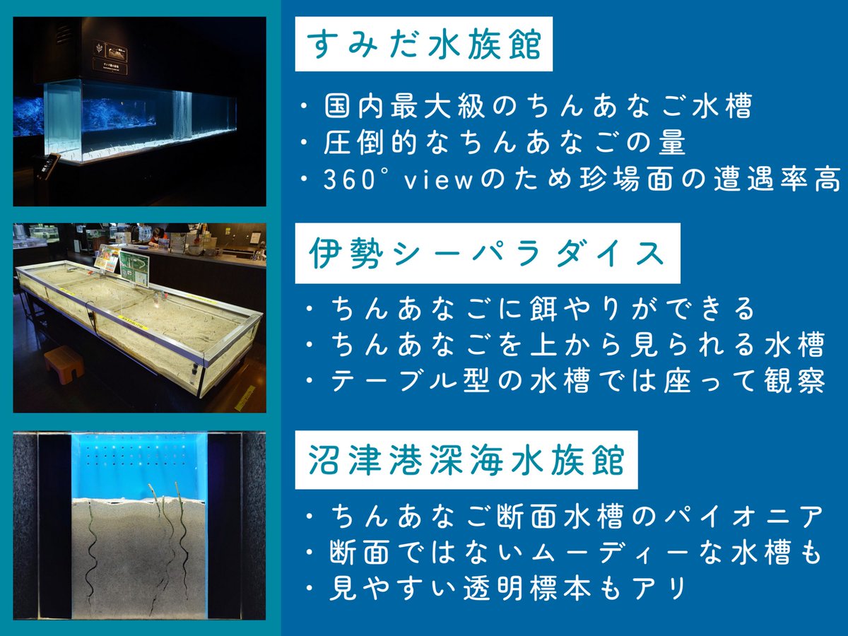 水族館の格付表が話題のようですが、あまり意義を感じないので当会では