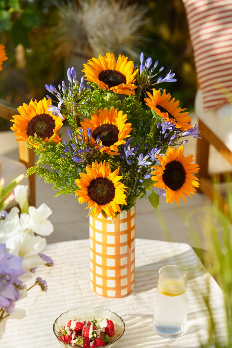 Golden-toned blooms ✅
Grown on a family-run farm ✅
Right here in the UK ✅