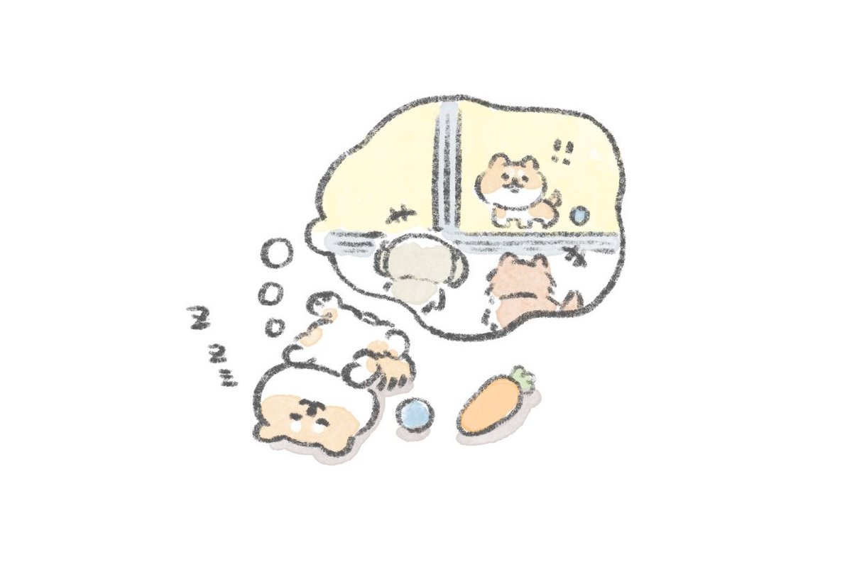 こんにちは、いぬです