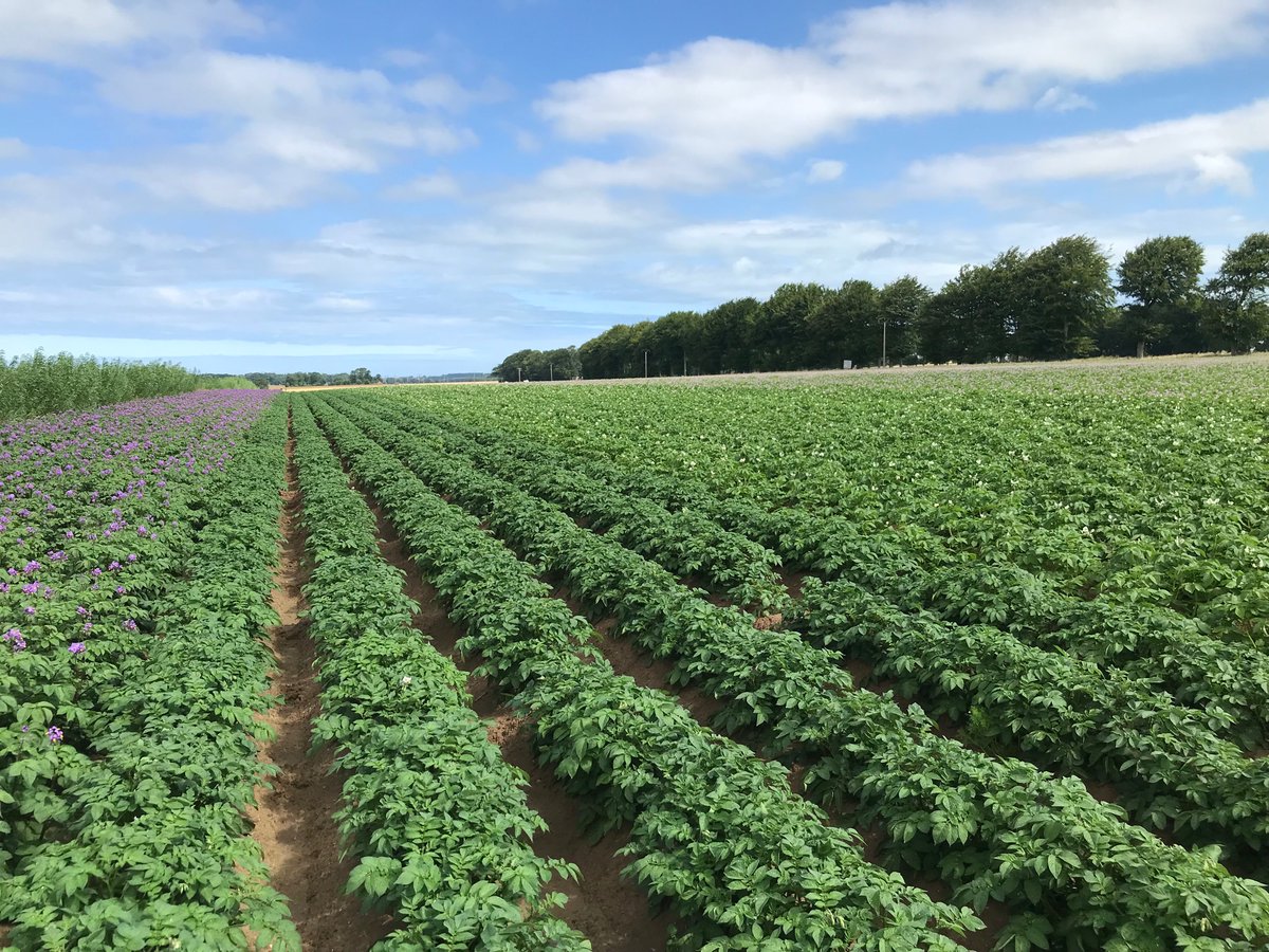 Victor Leforestier tweet media