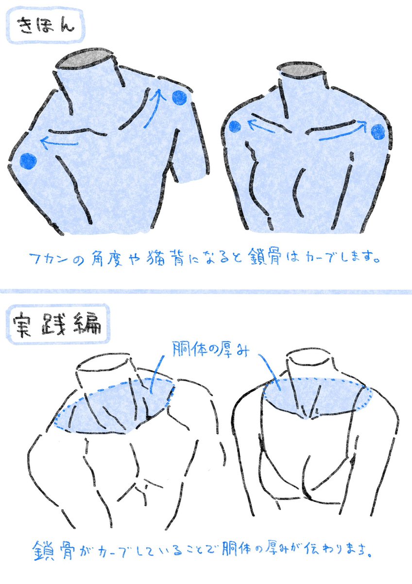 鎖骨を描くときのポイントメモ✍️ 