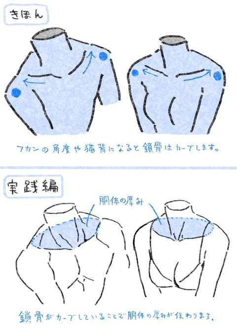 鎖骨を描くときのポイントメモ✍️ 