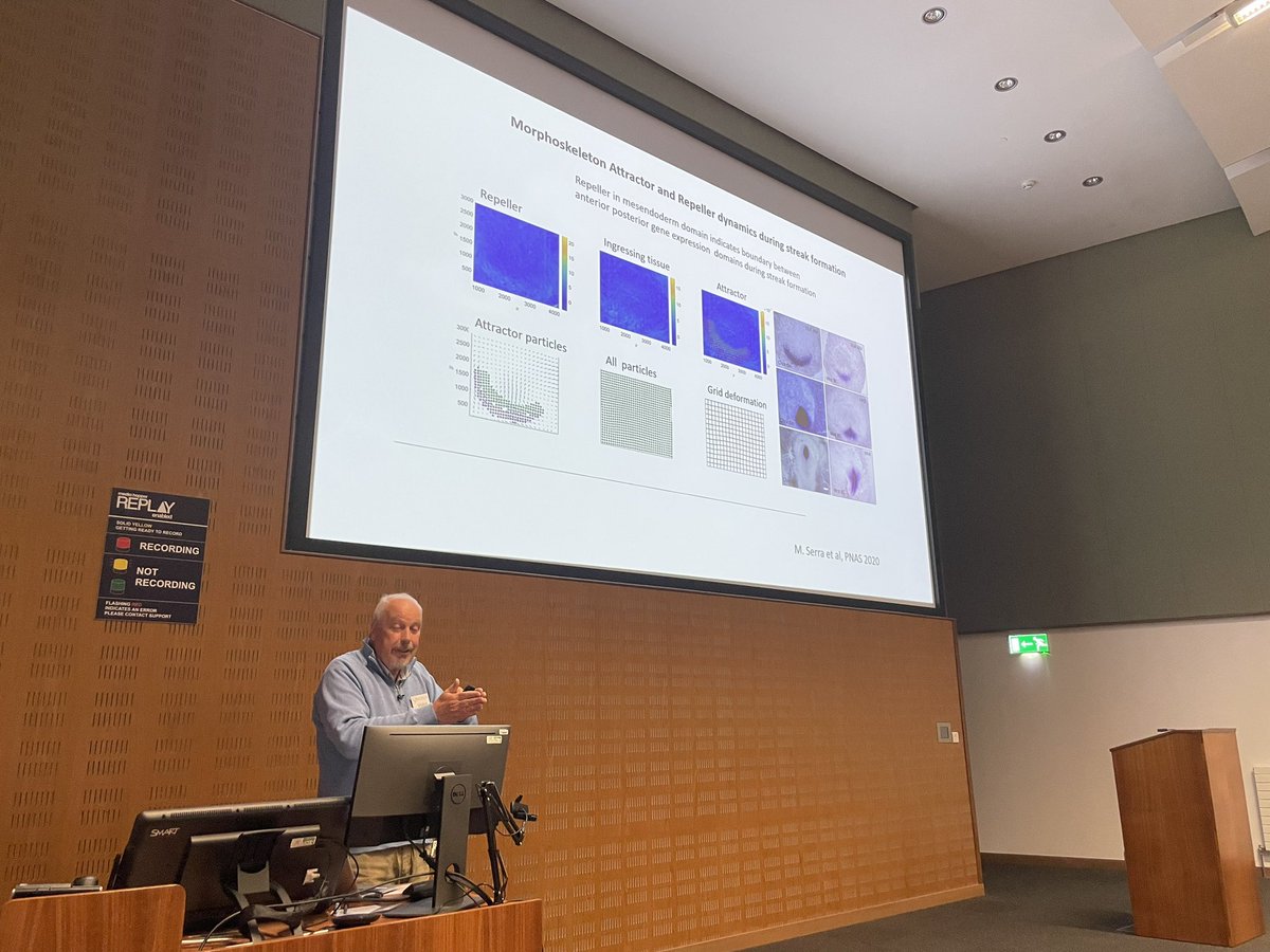 twobluechickens's tweet photo. Inspiring talk from Kes Weijer, University of Dundee using a combination of chicken transgenesis, Light Sheet microscopy, modelling and grafting manipulations to examine the cell movements and behaviours driving gastrulation #egged2024 @EMBOevents @roslininstitute @Co_Biologists https://t.co/XHPhD9j8nY
