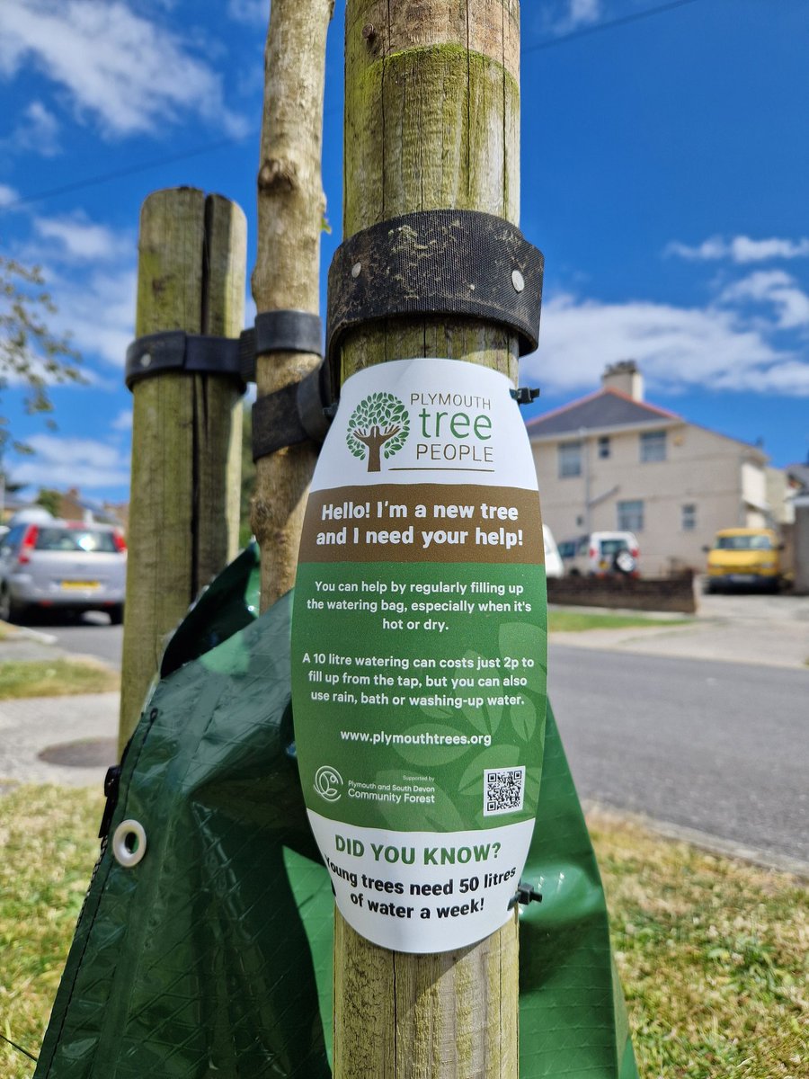 PlymouthTreePeople tweet media