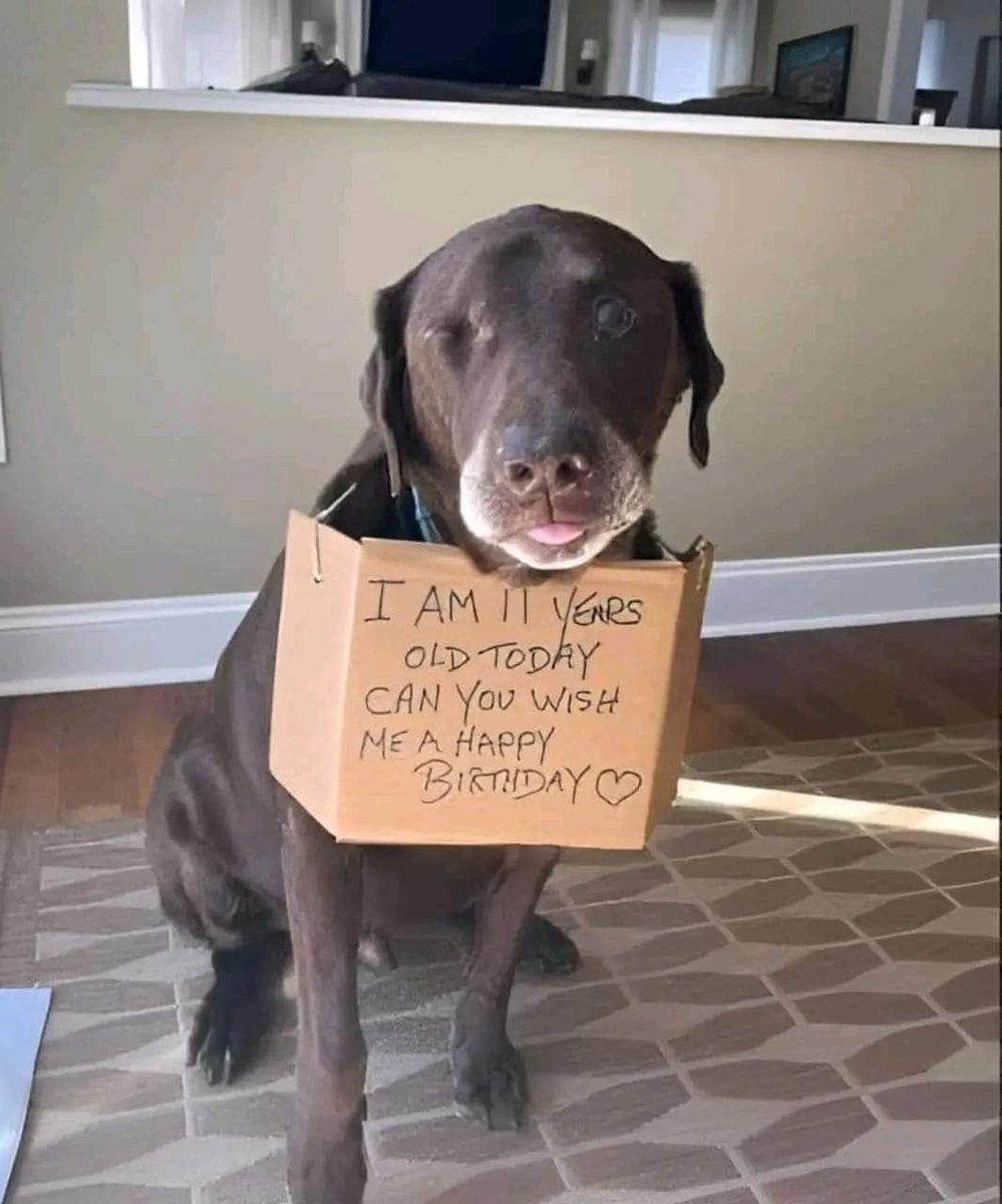 I am 11 years old today 🎂 Can you wish me a happy bithday ? ❤🙏