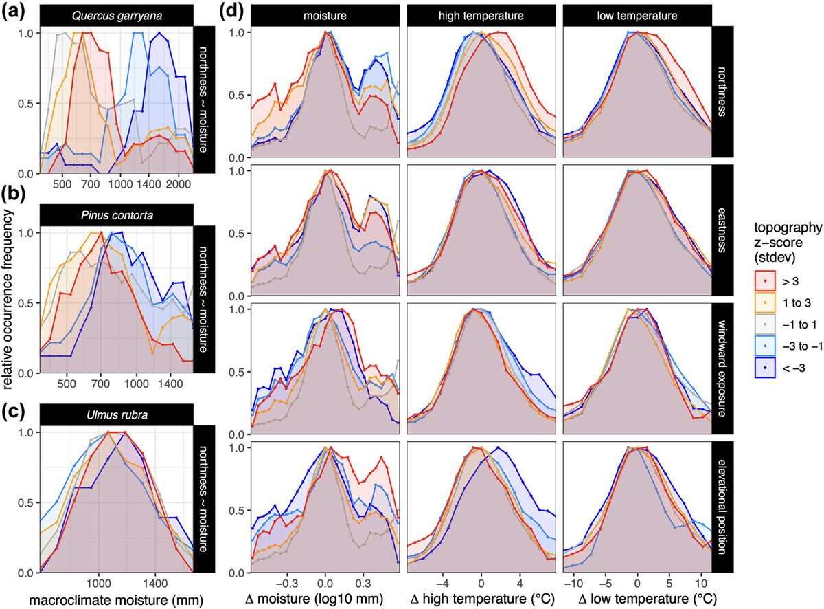 Ecography (@ecographyjourna) on Twitter photo A tree's view of the terrain: downscaling bioclimate variables to high resolution using a novel multi-level species distribution model nsojournals.onlinelibrary.wiley.com/doi/10.1111/ec… #Forest #Modelling #SDM #MicroClimate <a href="/NordicOikos/">Nordic Society Oikos</a> <a href="/WileyEcolEvol/">Wiley Ecology & Evolution</a> A tree's view of the terrain: downscaling bioclimate variables to high resolution using a novel multi-level species distribution model nsojournals.onlinelibrary.wiley.com/doi/10.1111/ec… #Forest #Modelling #SDM #MicroClimate <a href="/NordicOikos/">Nordic Society Oikos</a> <a href="/WileyEcolEvol/">Wiley Ecology & Evolution</a>
