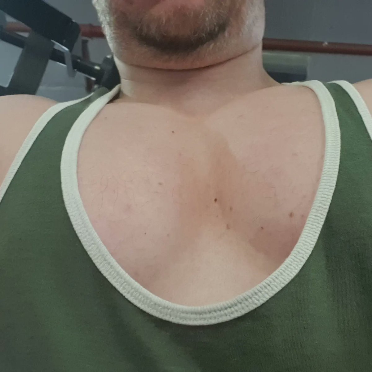 GavinWi79234383's tweet photo. Growing some #pecs ๐ช #PushDay #pumped #bodybuilding #muscles #hevage #gethuge #sizematters #ChestDay #TeamVikingMuscle #beardedmuscle #guyswithmuscles #guyswholift #gymbox #gymboxbank https://t.co/fILtrXCE27