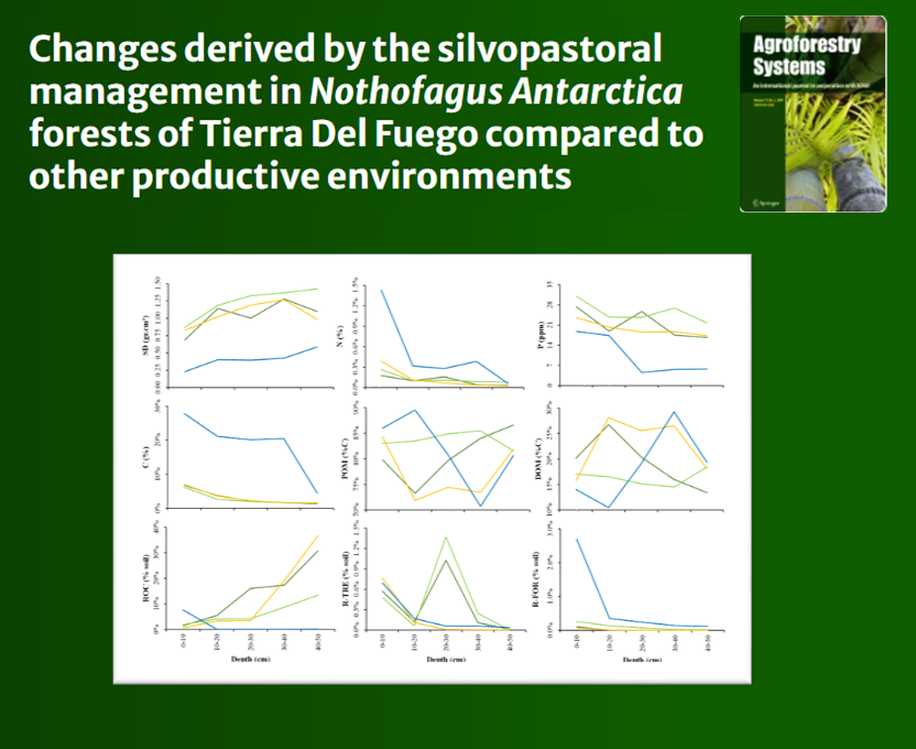 ym_rosas's tweet photo. Understanding the root dynamics in silvopastoral systems is crucial! Our findings show tree roots are found deeper in the soil compared to herbs and grasses, impacting both productivity and sustainability. 🌿 #Biodiversity #TierraDelFuego

https://t.co/gSeBSmI2Ry https://t.co/Hzrd31iEge