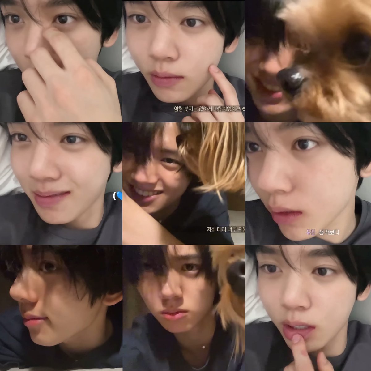 tiny tiny yujin (@pocketsizeyujin) on Twitter photo 