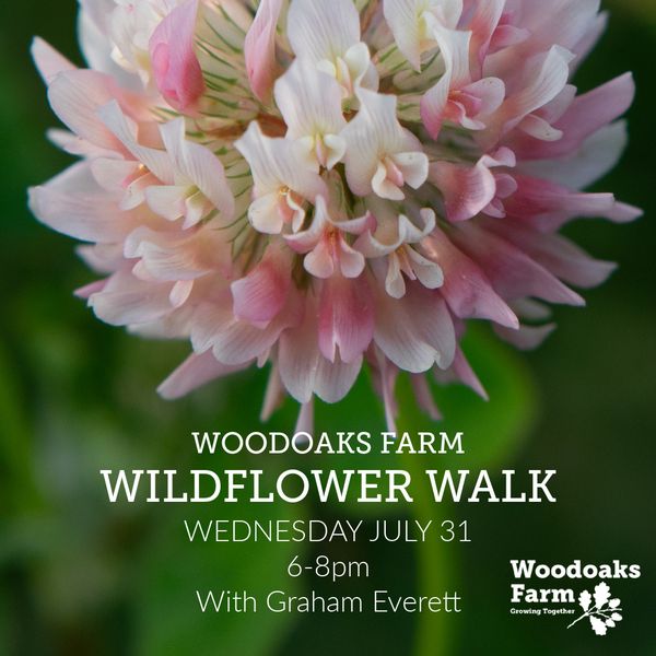 .<a href="/FarmWoodoaks/">Woodoaks Farm</a> #MapleCross have a great programme lined up during the Colne Valley Park Festival Fortnight. Go check them out 👇<a href="/SoilAssociation/">Soil Association</a>
colnevalleypark.org.uk/festival-fortn…
<a href="/HillingdonFIS/">Hillingdon Families</a> <a href="/Hill_libraries/">Hillingdon Libraries</a>