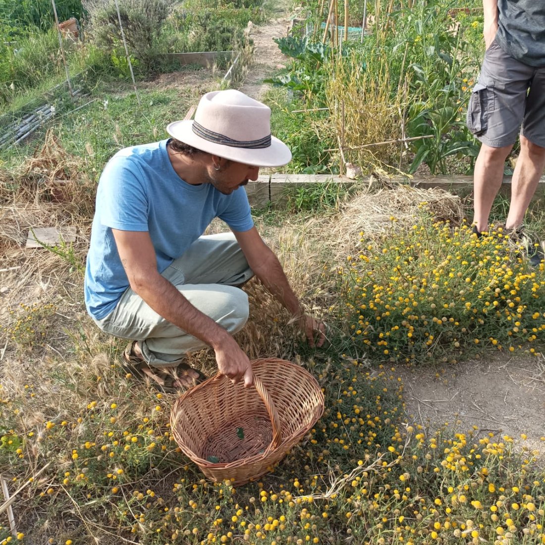 CCElSortidor's tweet photo. @Fonttrobada 🌿 I vam acabar la ruta fent un tast amb patés vegetals i untables fets amb les herbes comestibles que ens va descobrir el Pau, naturalista, Doctor en Ciència i Tecnologia Ambiental i autor de la "Guia de la flora urbana dels Països Catalans" publicada per
@Cossetania.

#ataula https://t.co/vBkU6mUQwP