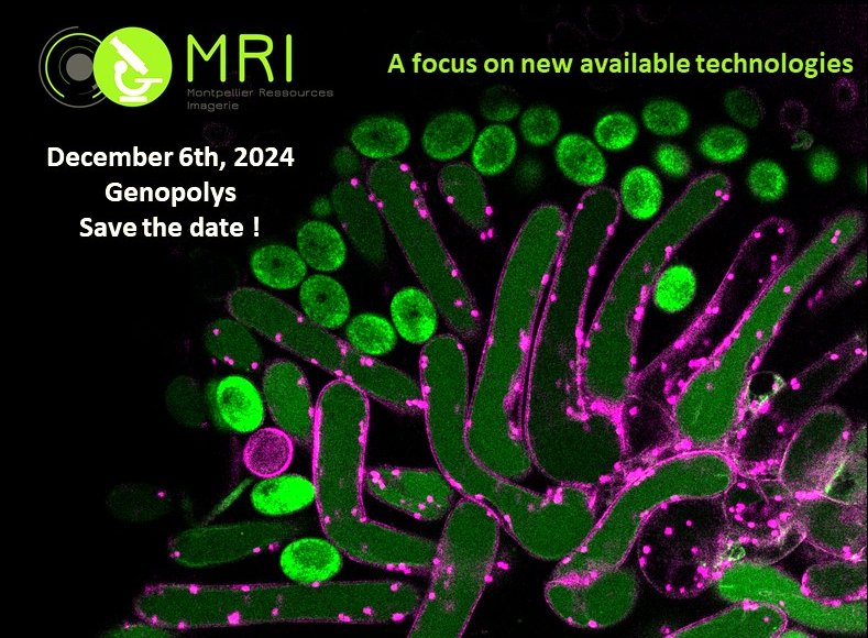 Thrilled to announce the symposium organized by MRI on December 6th at Genopolys. Exciting  talks about new imaging technologies and data analysis available on  your MRI facility. Detailed program coming soon. Save the date !