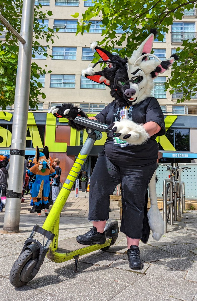 Coz (troubled paws) (@cozwoz2010) on Twitter photo Still love my Nyx the Fennix. Species by @ariverofstars design by Echo Location/weirdghost suit by <a href="/CarnivCreations/">Carniv Creations</a> Still love my Nyx the Fennix. Species by @ariverofstars design by Echo Location/weirdghost suit by <a href="/CarnivCreations/">Carniv Creations</a>