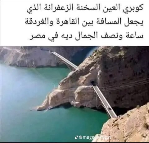 Wafaa Amin Khafaga tweet media