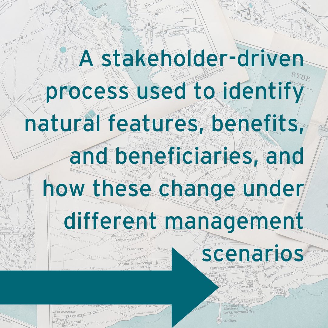 Sea The Value tweet media