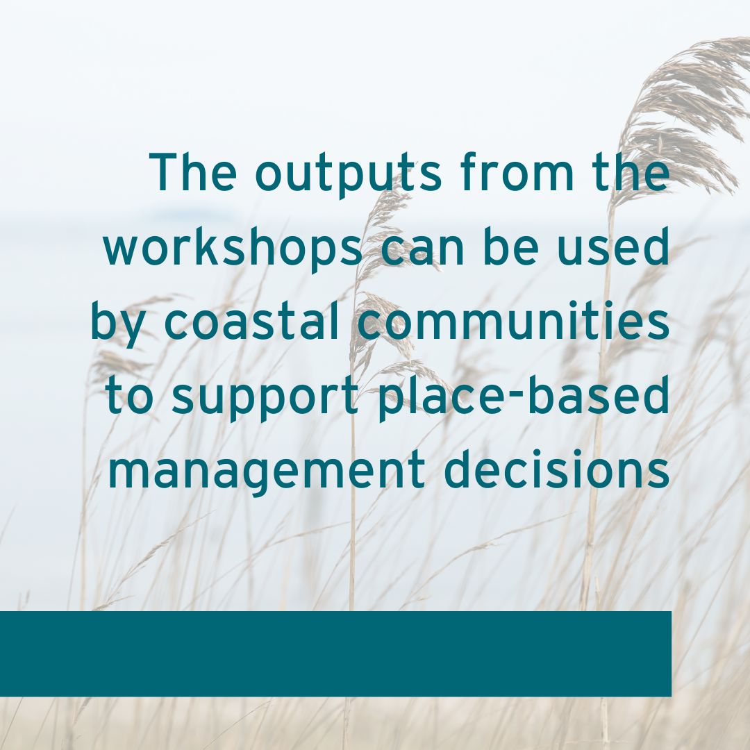 Sea The Value tweet media