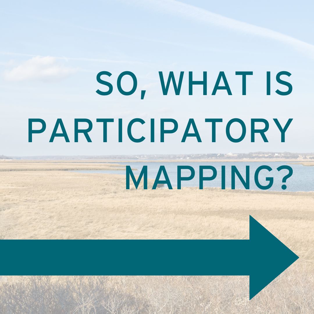 Sea The Value tweet media