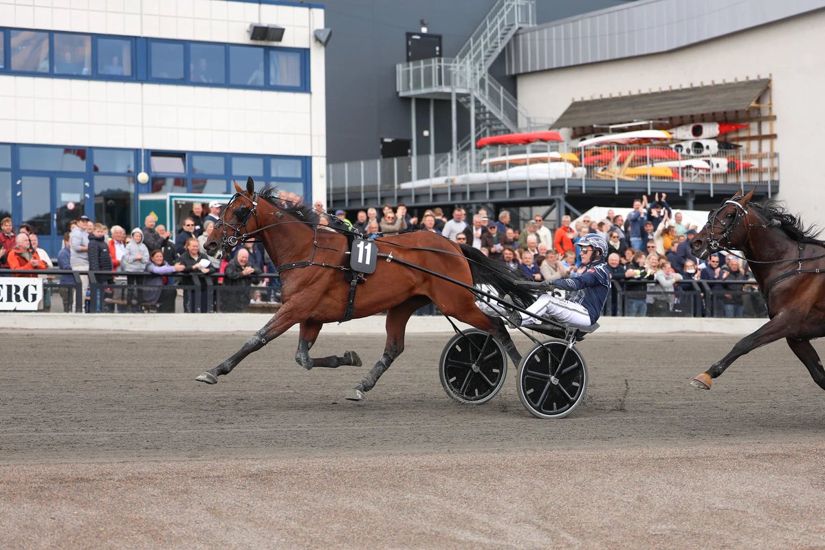 patrick_larsen1's tweet photo. Zaire Heldia 🥇🏆🙏

📸Hesteguiden
      Tgn https://t.co/Od0OfjxQnV