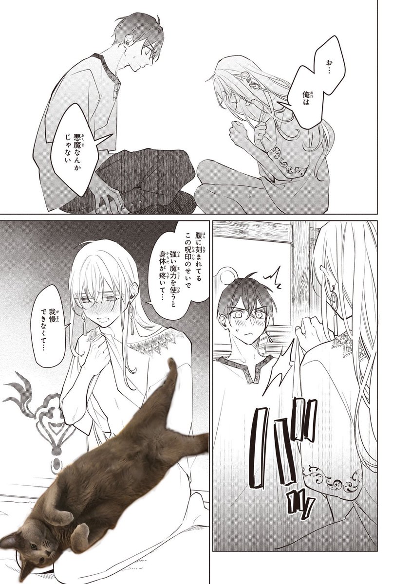 山で遭難した皇子が悪魔堕ちした賢者に襲われる話(9/10)

#暁の皇子と呪われた賢者 