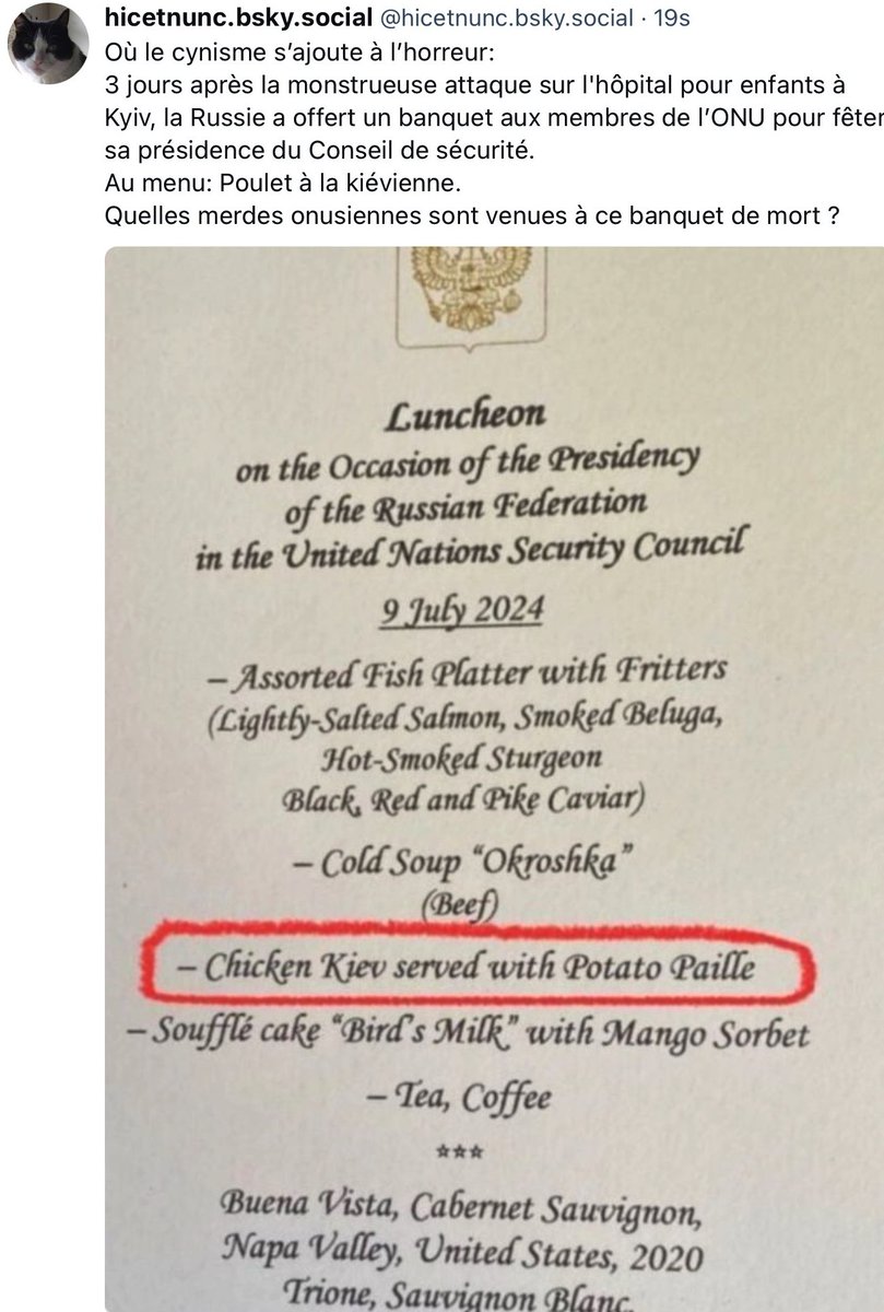 Copie d'écran de ce que je publie ailleurs, puisque je ne peux plus rien retweeter sur X.
Vous qui avez le droit de retweeter, faites-le.
Dans l'espoir que vous verrez un jour ce post...