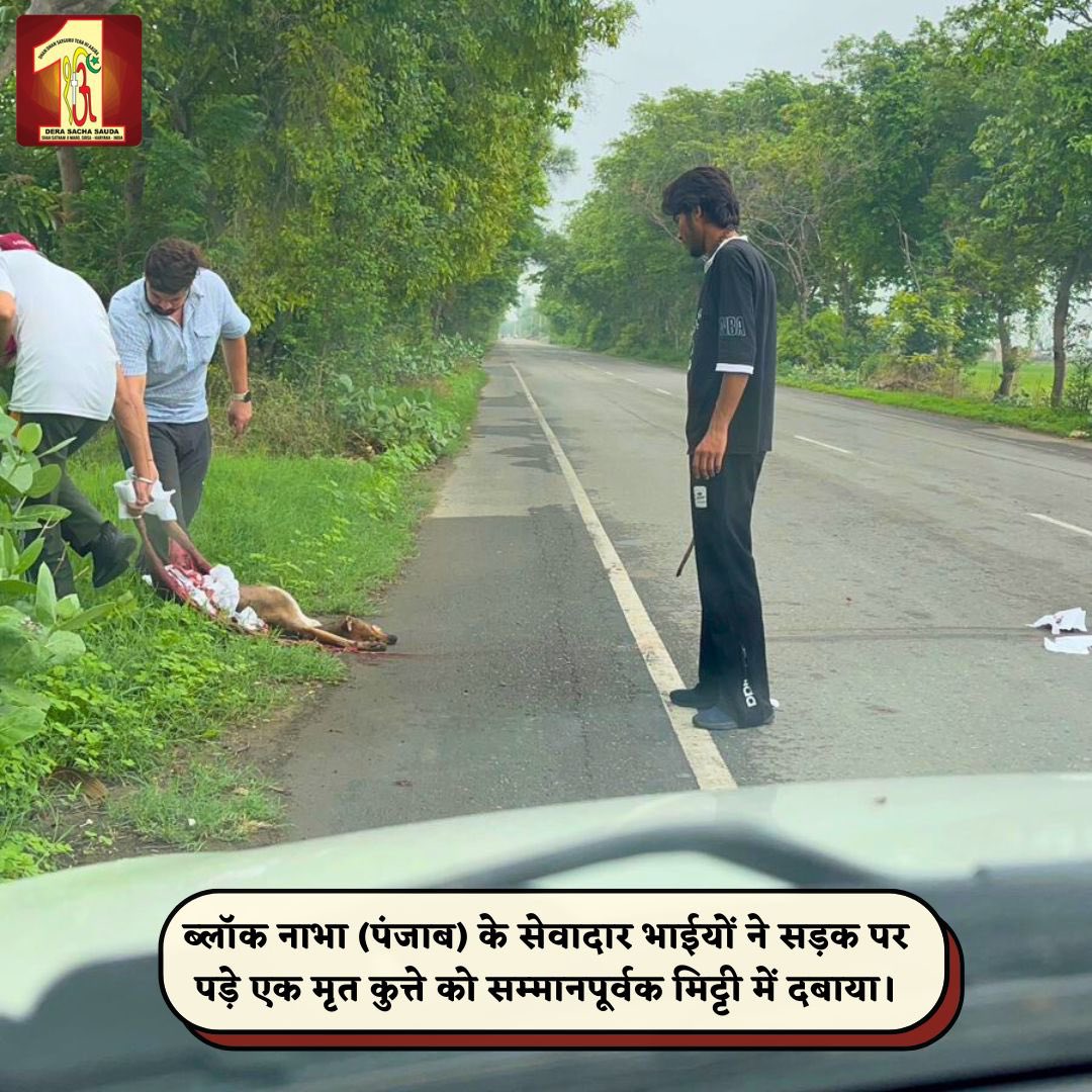 DSSNewsUpdates's tweet photo. Acts of kindness can uplift your spirit in so many ways. Dera Sacha Sauda volunteers from Nabha, Punjab, exemplified this by picking up and burying a deceased🐕dog, ensuring road safety for everyone. Their compassion makes our world better. #DeraSachaSauda #KindnessInAction #RoadSafety