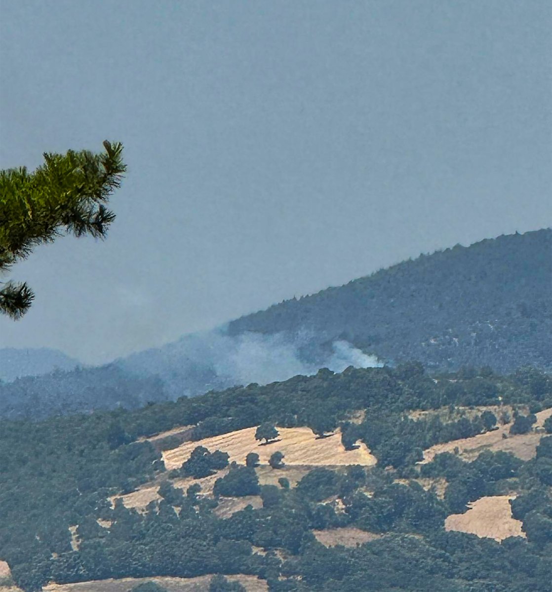 balikesirobm's tweet photo. Dursunbey İlçesi Beyce Mahallesinde araziden çıkan ve ormana sirayet eden yangını kontrol altına alma çalışmalarımız, havadan ve yerden etkin bir şekilde devam etmektedir.
📍 #Dursunbey / #Beyce https://t.co/H83dYrFFRB