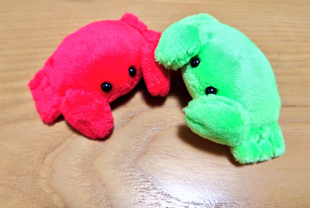 syuminonikomi's tweet photo. 報告忘れてましたがｽﾐｼﾞﾝさん(@usani_san)の元からアスパラいろの恥ずかしがりなｶﾆｻﾝがやって来てくれました…！
先住ｶﾆとごあいさつ https://t.co/Lo2npXn86k