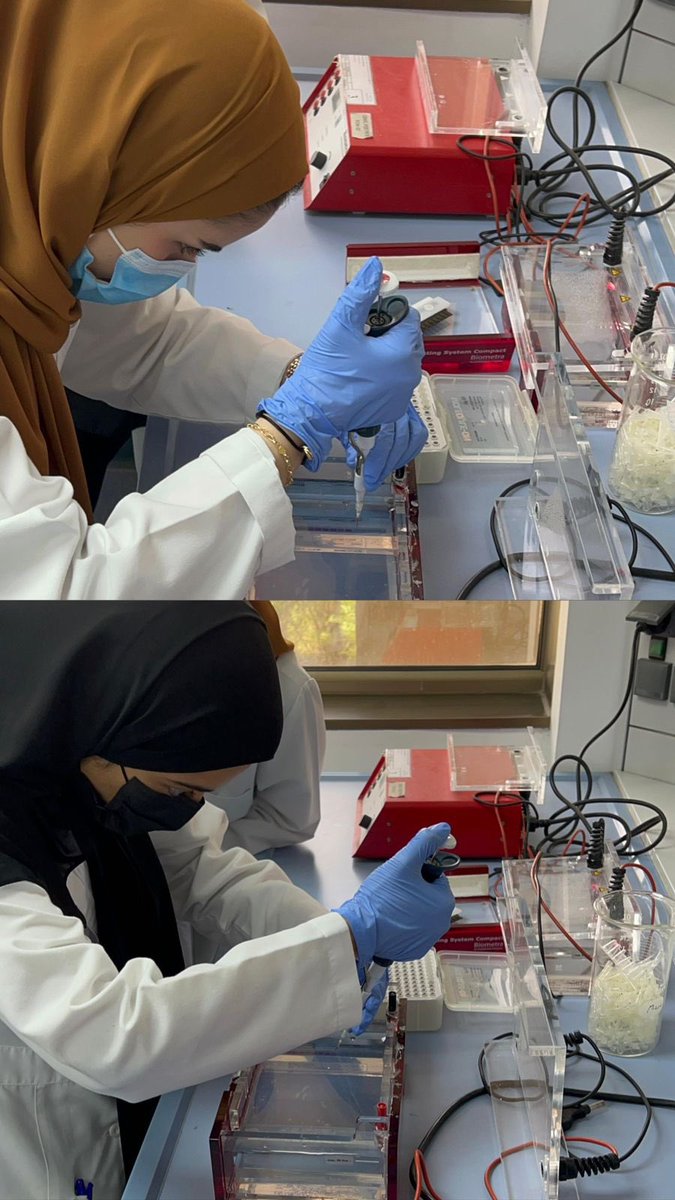 College of Dentistry tweet media