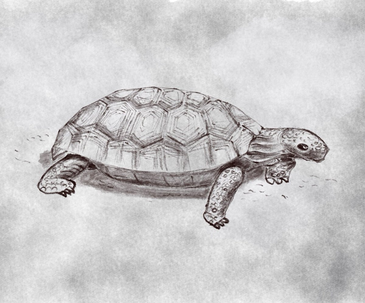 andyuglifruit's tweet photo. Experiments with digital drawing (using a Wacom tablet, and Krita software). Having "undo" makes a heck of a difference... you don't get that with pencil on paper! https://t.co/IvUWXxPwVu