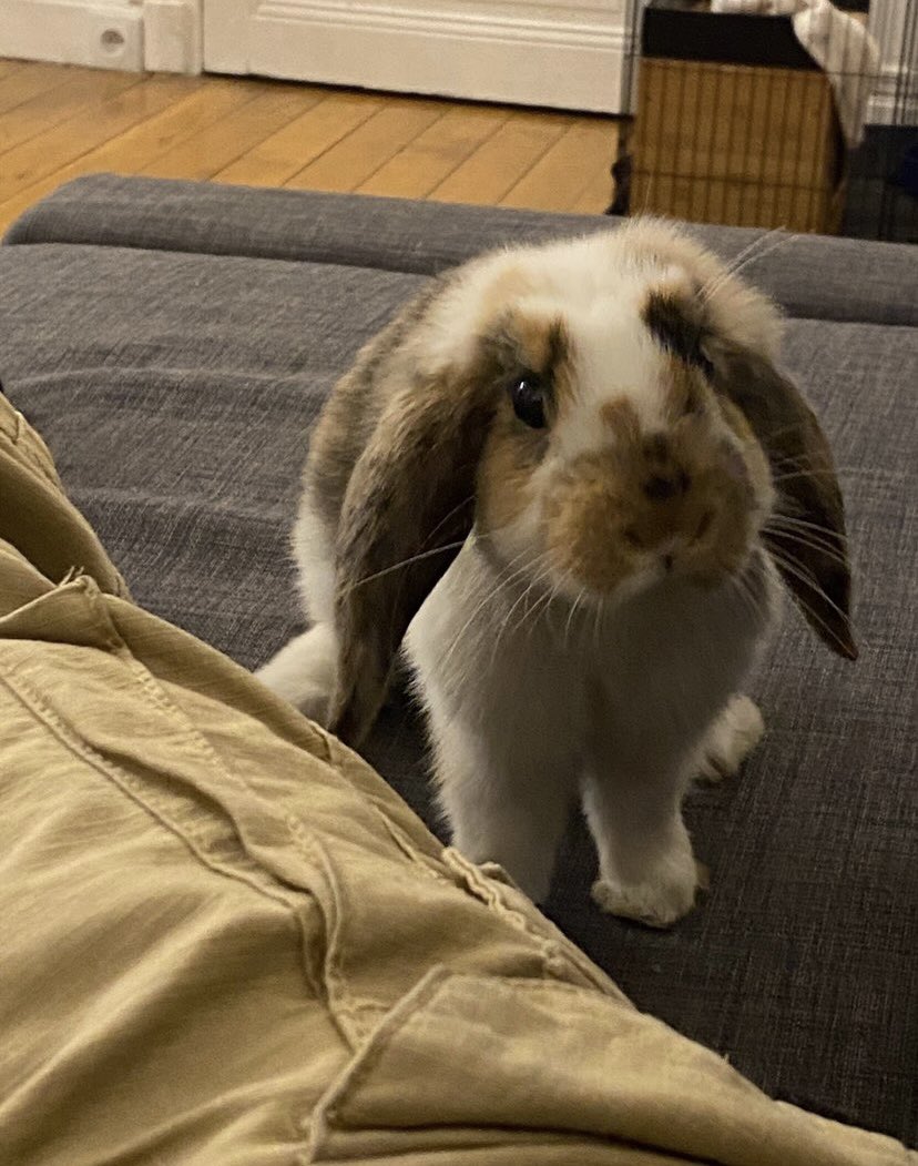 Angie Torres-Mathieu tweet media