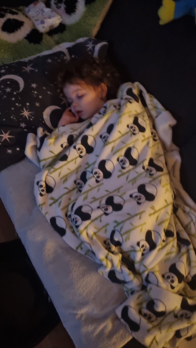 Started the 38th year of my life rinsing toddler boke off bedding before I shoved a hot wash on.
Yay adulthood/parenting 😅