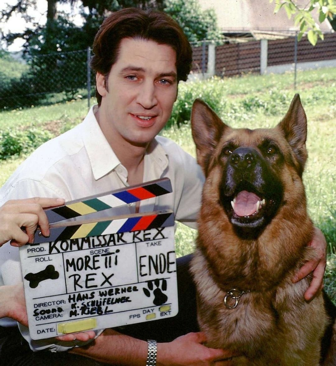 El espectacular cambio físico de Tobias Moretti, el protagonista de 'Rex,  un policía diferente', a sus 65 años - AS.com, image size:1080x1176