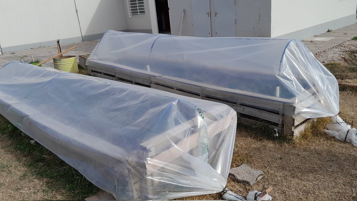 Val_Fabian's tweet photo. En el espacio #Marillac del barrio #9DeNoviembre realizamos los #microtuneles para resguardar del frio❄️ lo sembrado.
Hemos comenzado con este proceso en las huertas🌱 del programa, tenemos contemplado hacer mas de 100 de estas estructuras de proteccion.
La produccion, el cuidado de las hortalizas🥦🥕🥬, la alimentacion saludable y de calidad es posible.
#HuertasDeLaCiudad🥦🍅 del @MunicipioBahia.
#EnEquipo🙌