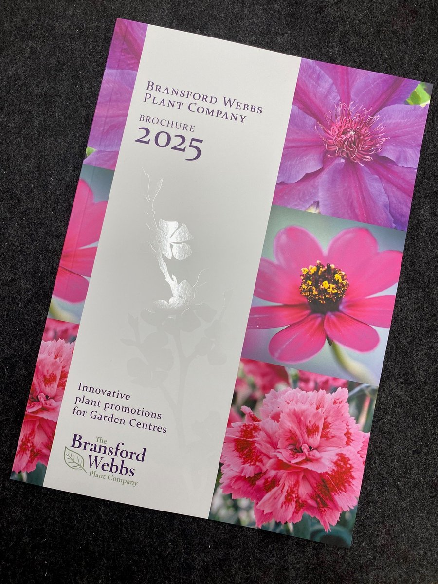 Our shiny new brochure for next year has just arrived, so customers can expect to receive it starting next week. And guess what? It's filled with amazing promotions for 2025! 😃