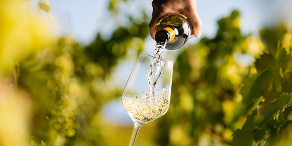 ExchangeNG1's tweet photo. First Delicious Taste of Summer at Gauntleys - Read the full article here: https://t.co/KAJHZs5YWd
#gauntleys #wines #rose #itsinnottingham #shopnottingham #theexchangenottingham https://t.co/cqKfgICcvE